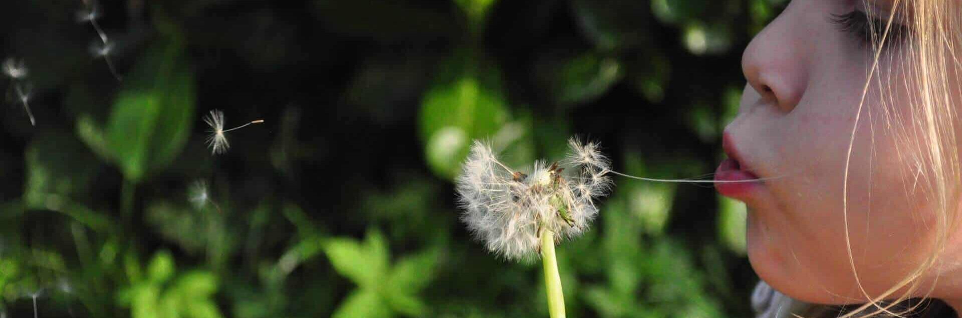 Kids Learn better at Preschool